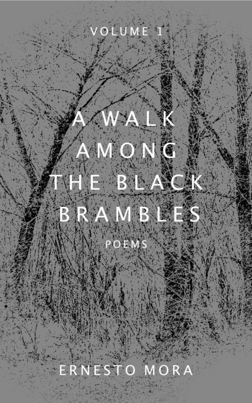 A Walk Among the Black Brambles
